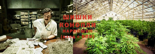 гидра Зеленокумск