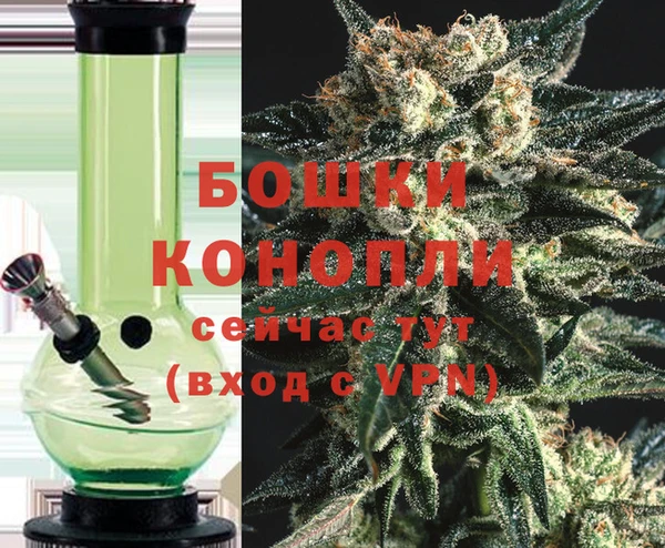 гидра Зеленокумск