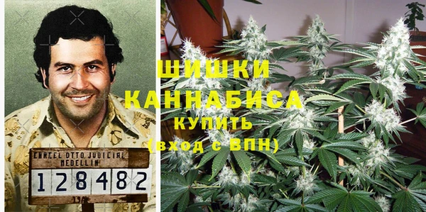 ПСИЛОЦИБИНОВЫЕ ГРИБЫ Зерноград