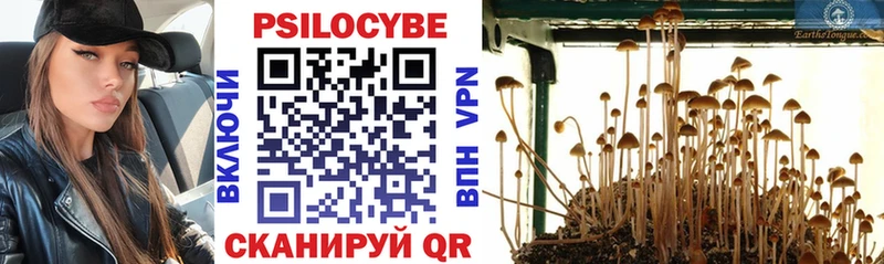 Псилоцибиновые грибы Psilocybine cubensis  Купить закладки  Болохово 