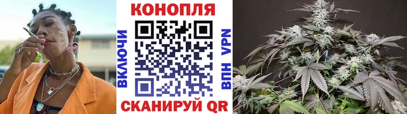 Купить закладки  Болохово  Конопля SATIVA & INDICA 